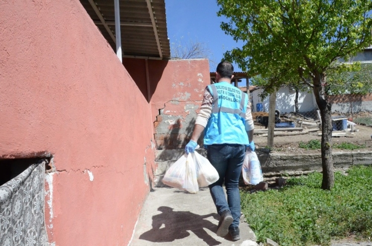 Suluova Belediyesinden İhtiyaç Sahibi Ailelere Gıda Paketi Desteği