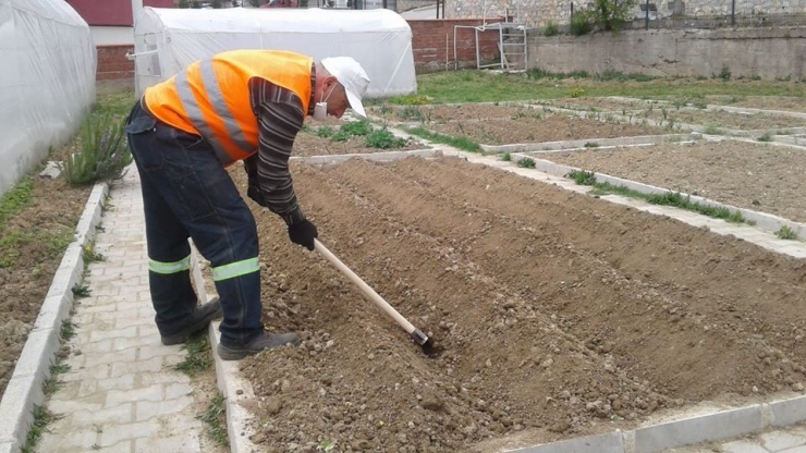 Safranbolu Belediyesi Tarımsal Çalışmaları Sürdürüyor