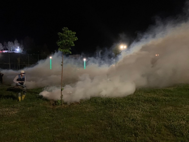 Cizre Belediyesi İlaçlama Çalışmalarına Devam Ediyor