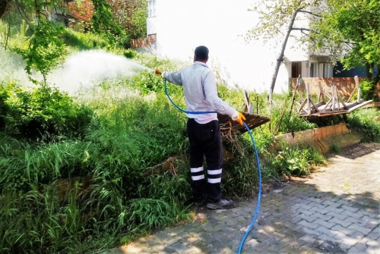 Süleymanpaşa’da Yaza Hazırlık