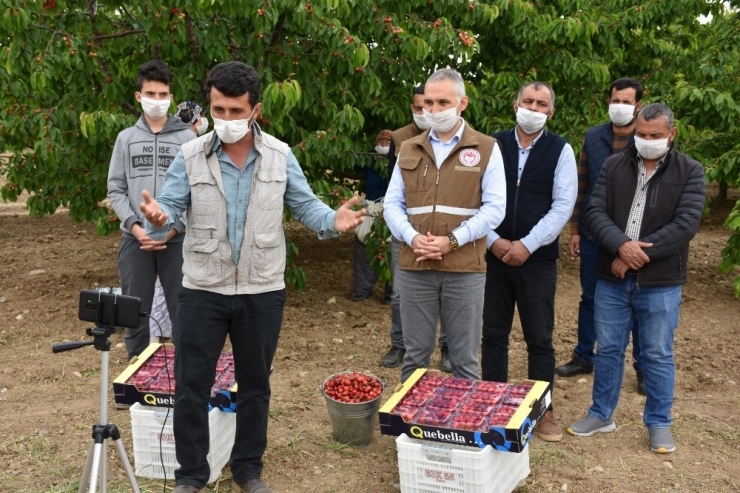 Bakan Pakdemirli Kiraz Üreticileri İle Telekonferansta Görüştü