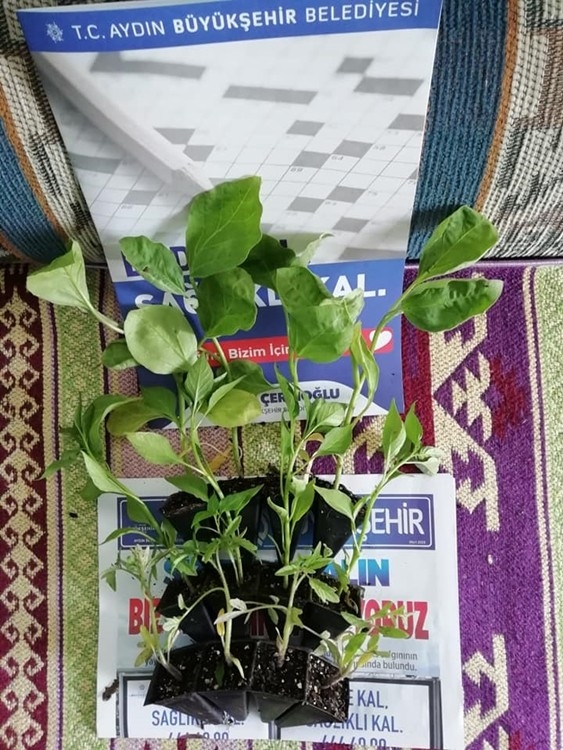 Tema Vakfı Aydın İl Temsilcisi Özdemir’den Çerçioğlu’na Teşekkür