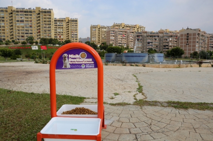 Toroslar Belediyesi, Her Gün Sokak Hayvanları İçin Beslenme Odaklarına Mama Bırakıyor
