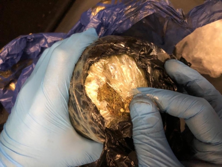 Sarp Gümrük Kapısı’nda Bin 500 Canlı Kraliçe Arı Ele Geçirildi