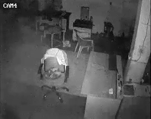 150 Bin Tl Değerinde Ürün Çaldı, Karşısına Çıkan Kediden Böyle Korktu