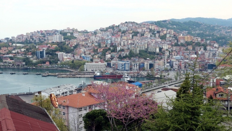 3 Günlük Sokağa Çıkma Kısıtlaması İle Sokaklar Boş Kaldı