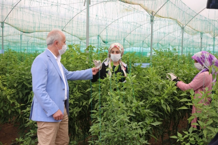 Gültak, Tarım İşçileriyle Bir Araya Geldi