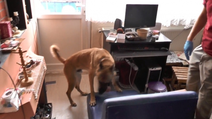 Sabaha Karşı Yapılan Narkotik Operasyonuna Balkonlardan Destek