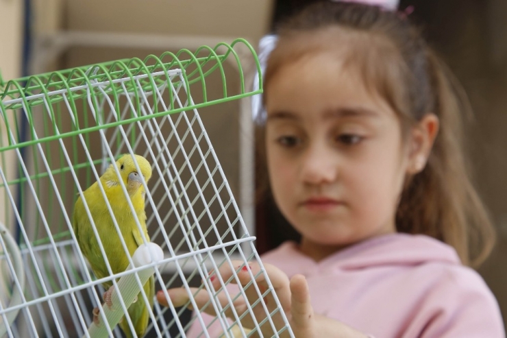 Evde Sıkılan İki Kız Kardeşin Sosyal Medya Üzerinden İstedikleri Kuşu Belediye Başkanı Getirdi