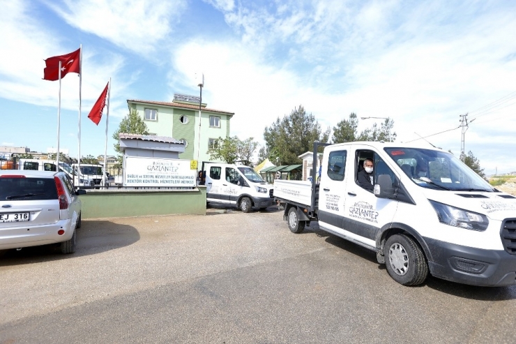 Gaziantep’te Haşere İle Mücadele Sürüyor