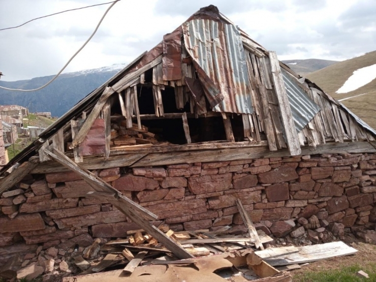 Yaylaya Çıkınca Şoku Yaşadılar