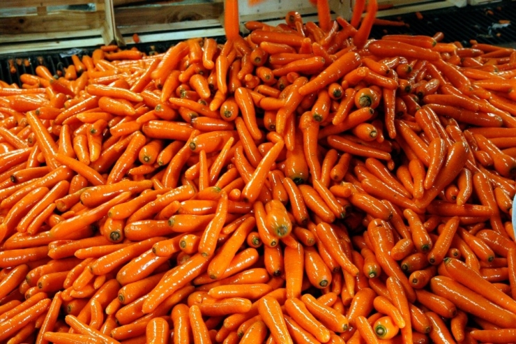 Başkent’te Korona Sürecinde 14 Bin 102 Ton Portakal Tüketildi