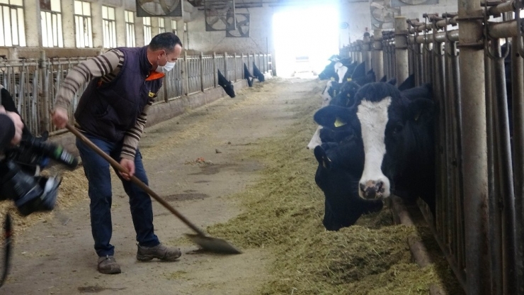 Korona Virüs Üretimi Kısıtlayamadı