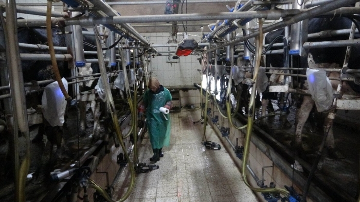 Korona Virüs Üretimi Kısıtlayamadı