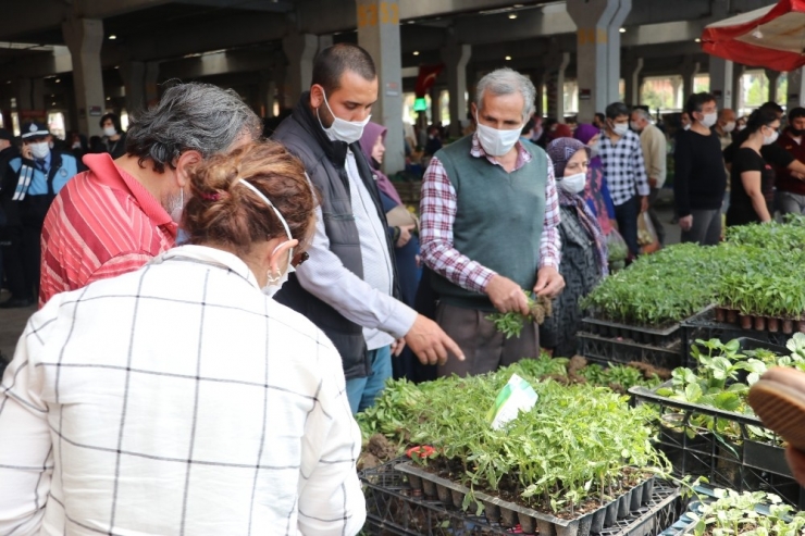 Korona Virüs Nedeniyle Evde Kalanlar Fide Satışlarını İkiye Katladı