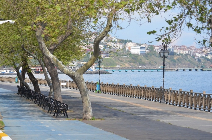 Sokaklara Kuş Cıvıltıları Hakim