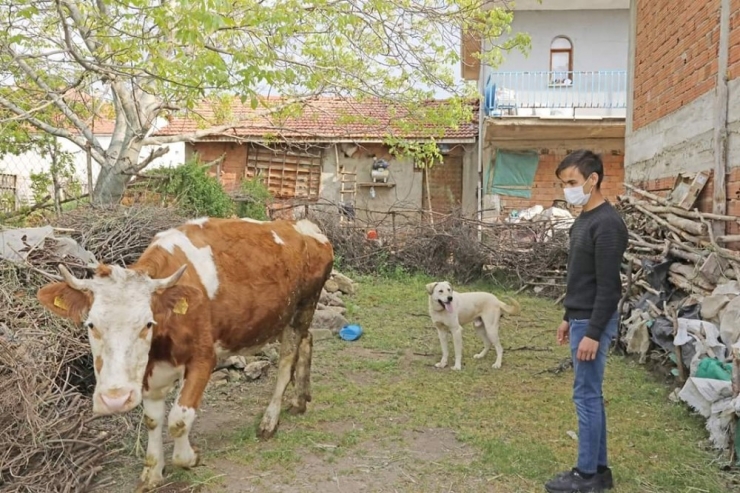 Kütahyalı Genç Korona Virüsü Yenip Sevdiklerine Kavuştu