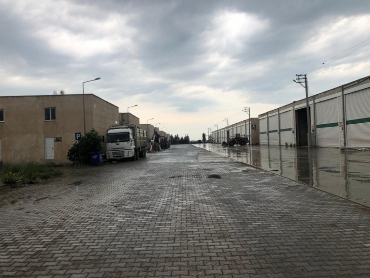 Ortadağu’nun En Büyük Hububat Ticaret Merkezi Sessizliğe Büründü