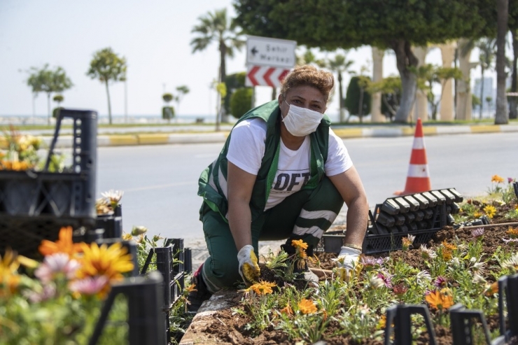 Mersin, Yaz Çiçekleriyle Renklendi