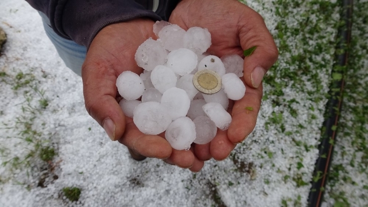 Mersin’de 1 Saat Yağan Dolu Tarlalara Zarar Verdi