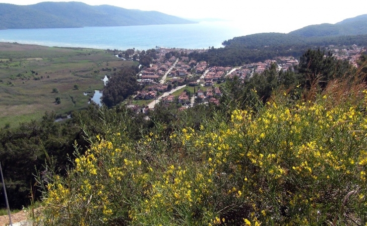 Sakin Kent Şimdi Daha Da Sakin