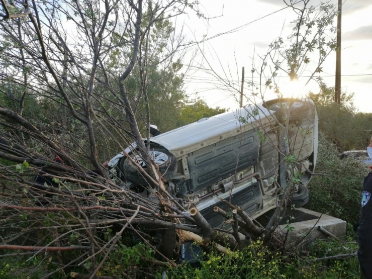 Otomobil Zeytin Bahçesine Uçtu