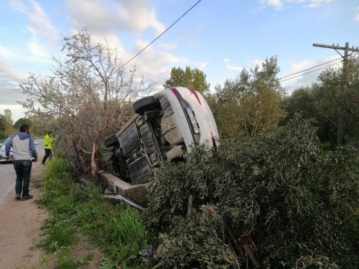 Otomobil Zeytin Bahçesine Uçtu