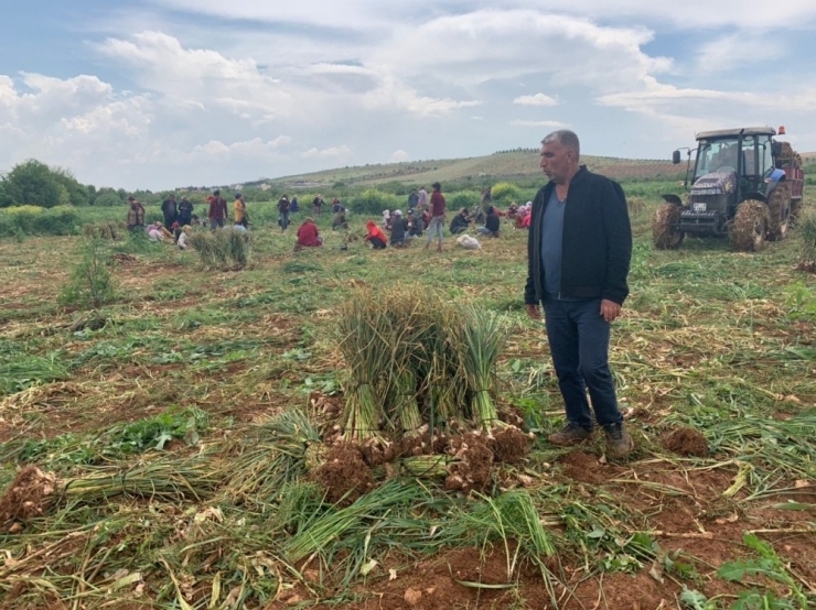 1 Mayıs’ı Tarlada Çalışarak Geçirdiler
