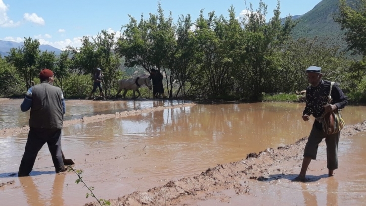 Siirt’te Çiftçiler İftara Kadar Tarlalarını Ekiyor
