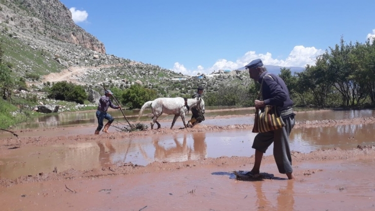 Siirt’te Çiftçiler İftara Kadar Tarlalarını Ekiyor