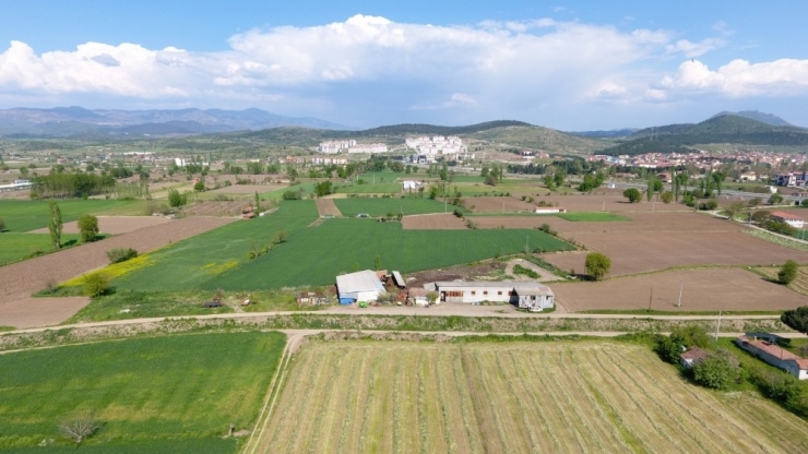 Sındırgı’da Tarım Seferberliği