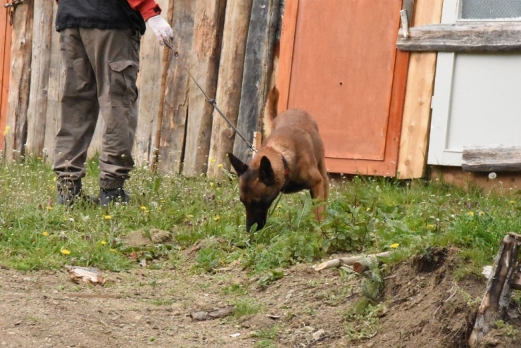 Otizmli Küçük Çocuk Her Yerde Aranıyor