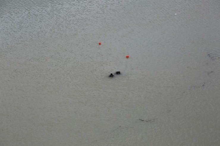 Kayıp Gülistan’ı Arama Çalışmaları Sürüyor