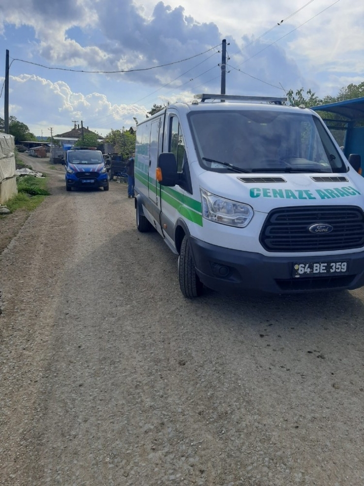 5 Yaşındaki Çocuğun Traktörle Oyunu Faciayla Bitti