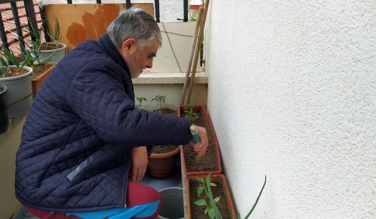 Korona Günlerini Balkonda Sebze Yetiştirerek Geçiriyorlar
