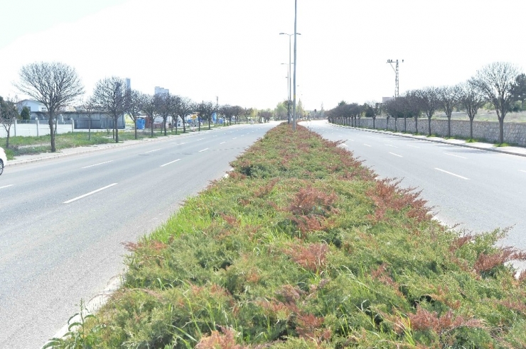 Ankara Büyükşehir Belediyesinden Sulamada Tasarruf Dönemi