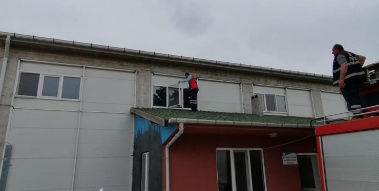 Camdaki Sinekliğe Sıkışan Kırlangıç Kurtarıldı