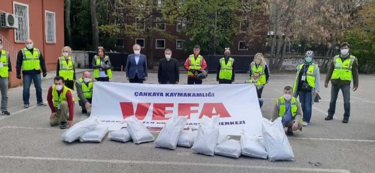 Çankaya’da Sokak Hayvanlarına Mama Takviyesi