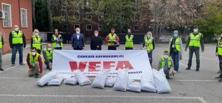 Çankaya’da Sokak Hayvanlarına Mama Takviyesi