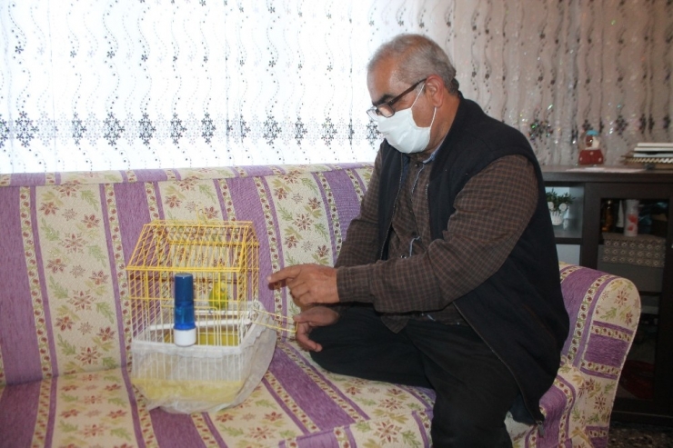 Muhabbet Kuşundan Vatandaşlara ’Evde Kal Türkiye’ Çağrısı