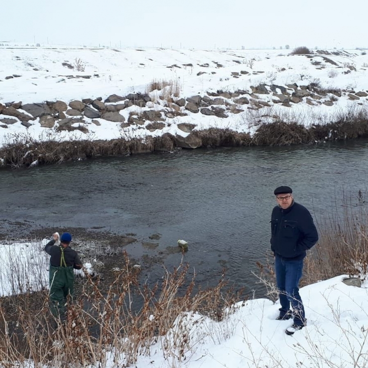 Faydaları Saymakla Bitmeyen Balık Yemlerinde Kullanılacak