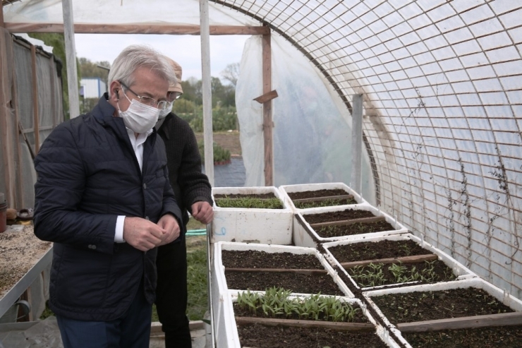 Nilüfer’de Yerel Tohumlar Takasa Hazır