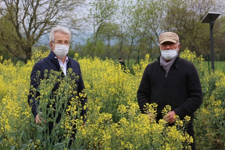 Nilüfer’de Yerel Tohumlar Takasa Hazır