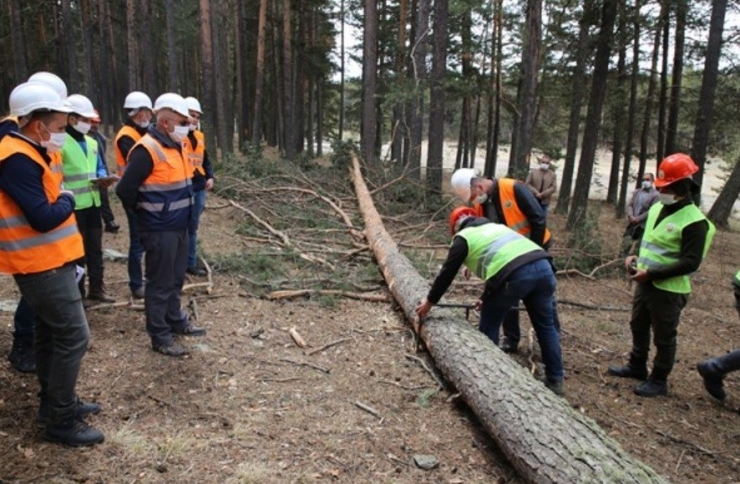 Orman Sahasında Eğitim Çalışması