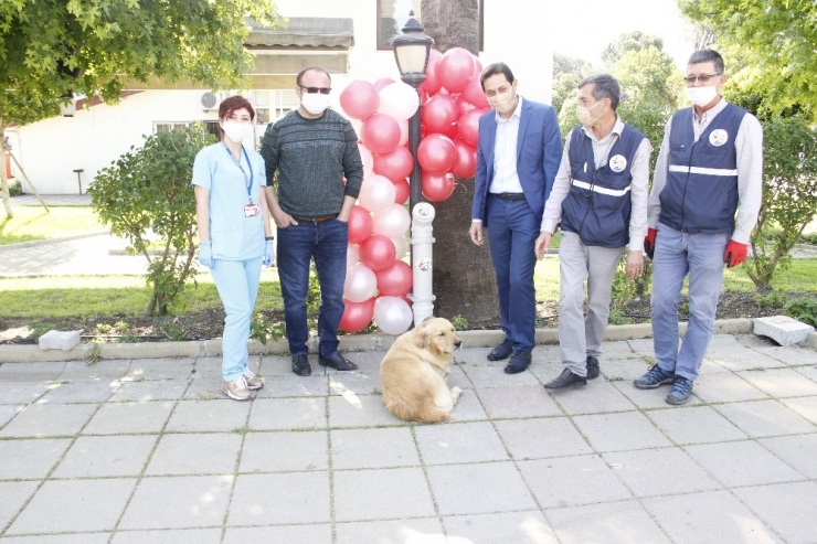 Eski Su Boruları Besleme Noktası Oldu