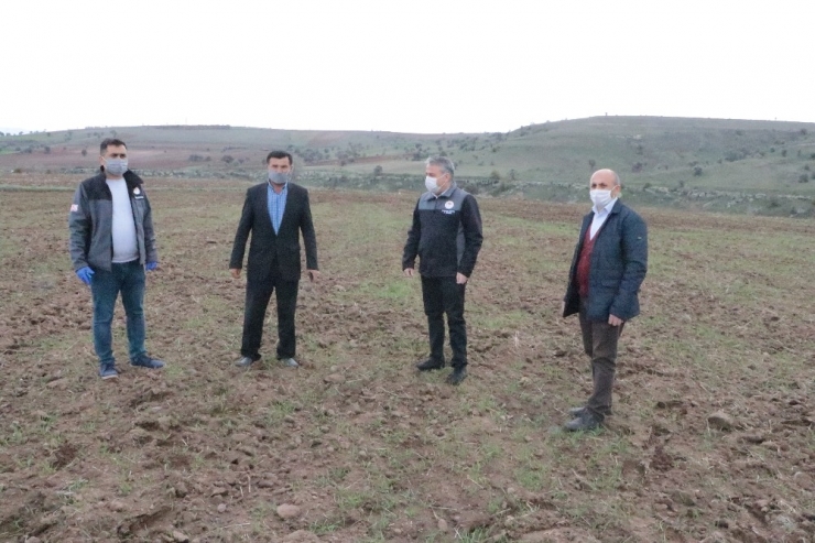 Şahin, “Ekilmedik Bir Karış Boş Yer Bırakmayıncaya Kadar Çalışacağız”