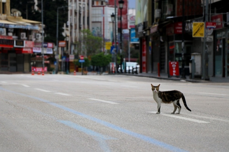 Adana’nın En İşlek Caddelerinde Issızlık Hüküm Sürüyor