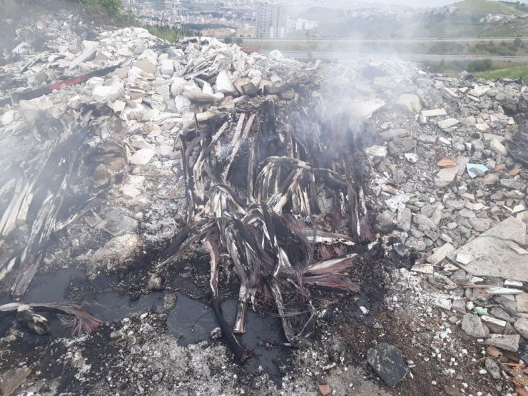 Kablo Hırsızları Tutuklandı