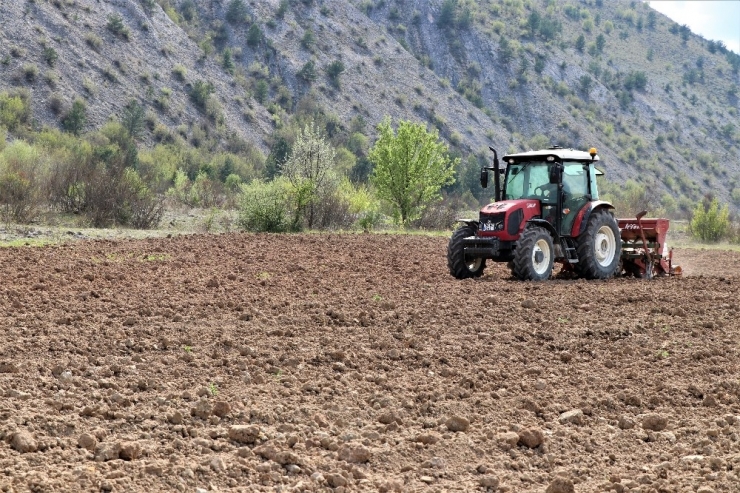 Çiftçiler Korona Virüse Rağmen Üretimi Sürdürüyor