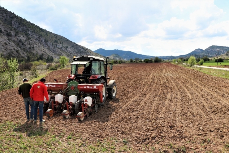 Çiftçiler Korona Virüse Rağmen Üretimi Sürdürüyor